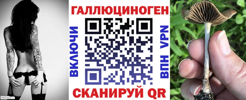 Купить  Надым  Галлюциногенные грибы GOLDEN TEACHER 